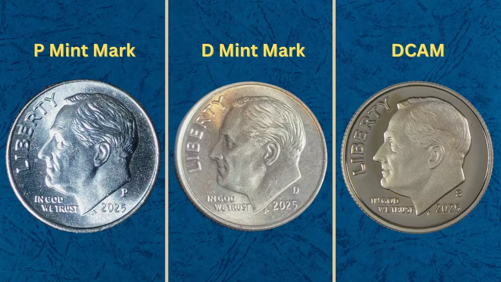 2025 Roosevelt dime production — Philadelphia and Denver mint facility or group specimen shot